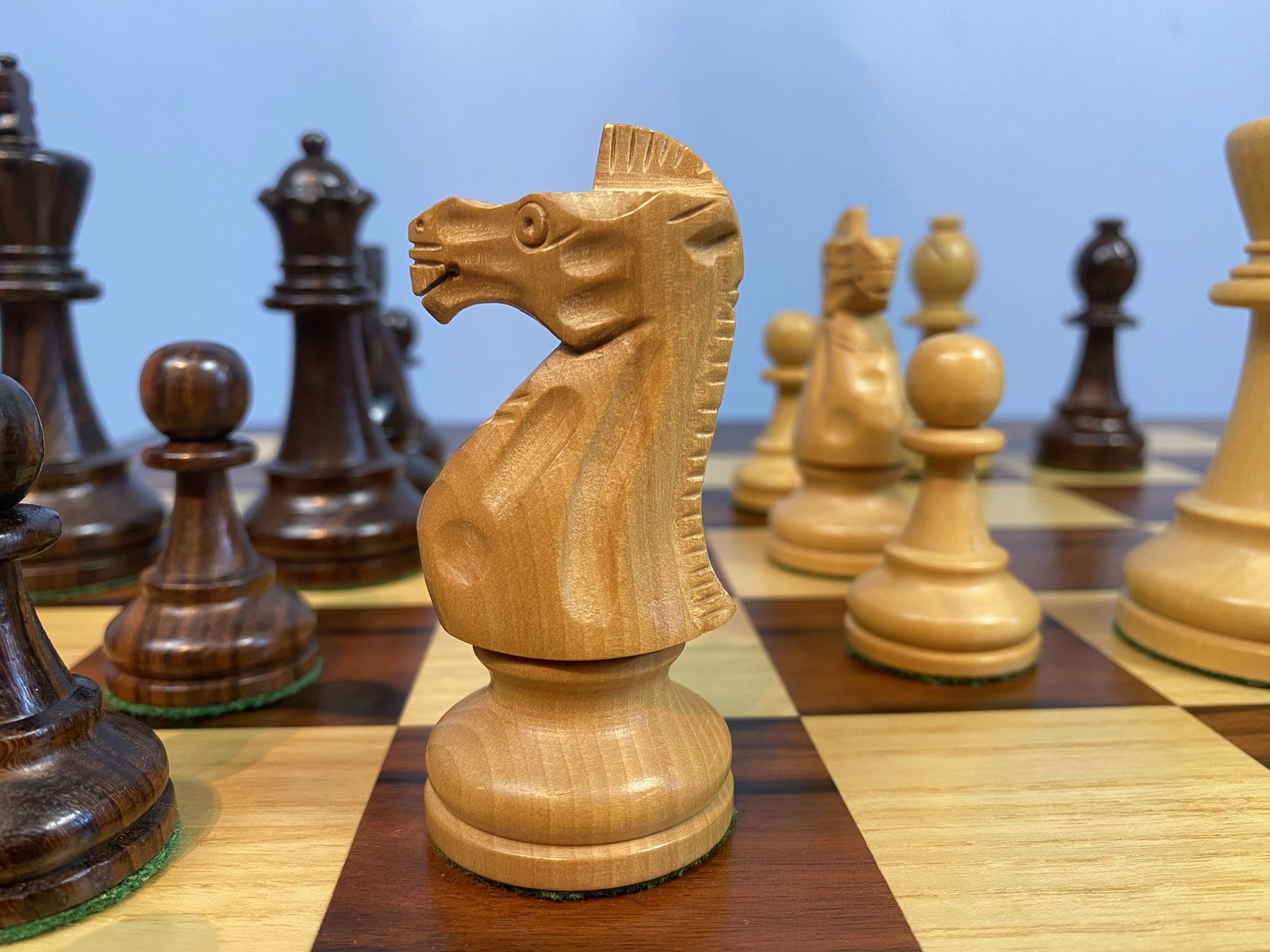kasparov chess trainer